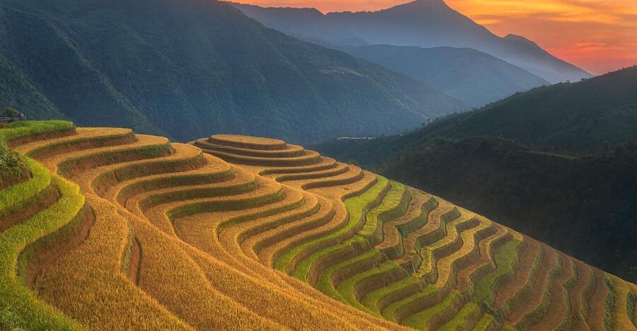 From Sapa: 1-Day Guided Trek to Lao Chai & Ta Van with Lunch - Lao Chai: terraces, Hmong culture and lunch