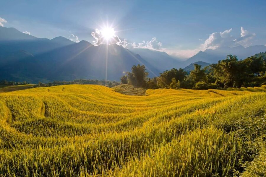 From Sapa: 1-Day Guided Trek to Lao Chai & Ta Van with Lunch - Ta Van: Zay traditions and herbal incense