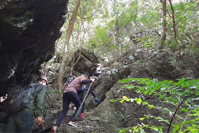 Full-Day Cuc Phuong National Park Hiking Tour - A full day, but only an introduction