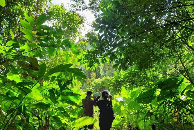 Full-Day Cuc Phuong National Park Hiking Tour - Should you book the Cuc Phuong day tour?