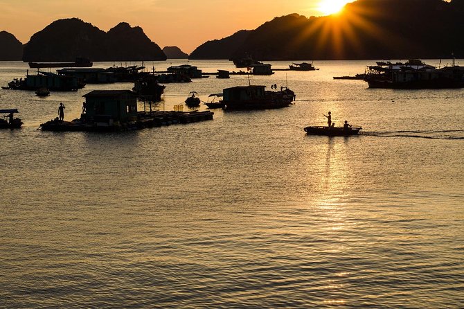 Full day hikes, Cycles, Kayaks & swims in Cat Ba National park - Starting at the park gate