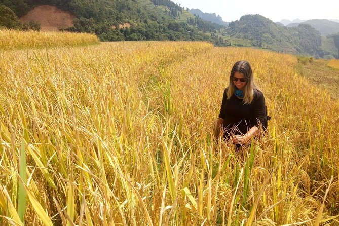 Ha Giang loop 3 or 4 Days, Small Group Tour (within easy riders) - Day one: Quan Ba, village roads, and Du Già Waterfall