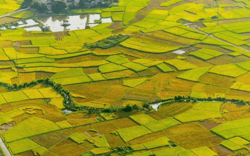 Ha Noi - Mai Chau - Pu Luong 2 Days 1 Night Trekking Tour - The trip’s main draws