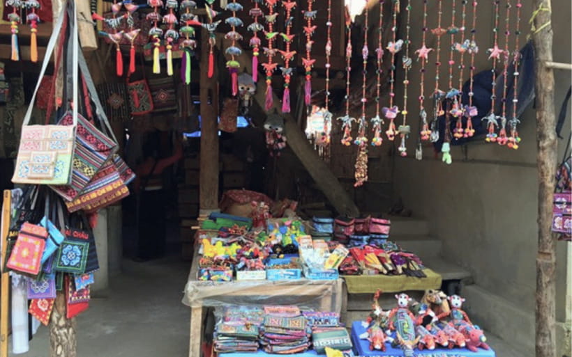 Ha Noi - Mai Chau - Pu Luong 2 Days 1 Night Trekking Tour - Trekking into Pu Luong