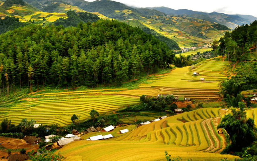 Ha Noi - Mai Chau - Pu Luong 2 Days 1 Night Trekking Tour - Should you book this tour?