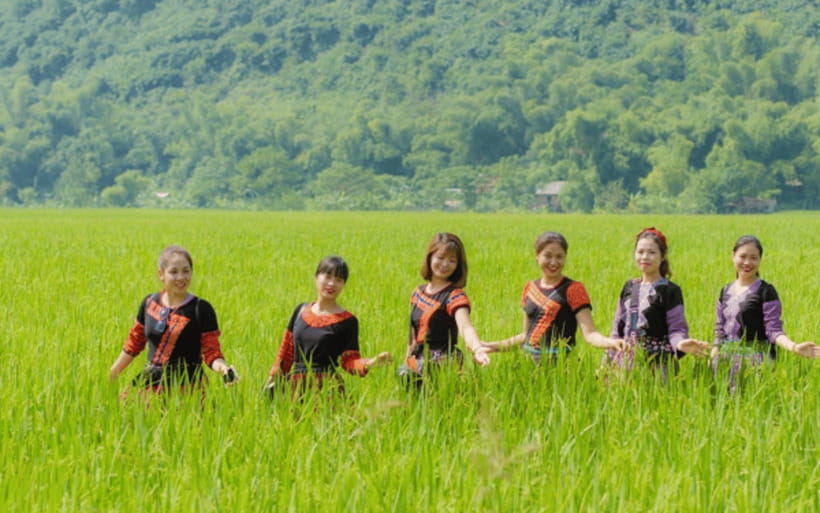 Ha Noi - Mai Chau - Pu Luong 2 Days 1 Night Trekking Tour - Cycling through Mai Chau’s rice fields