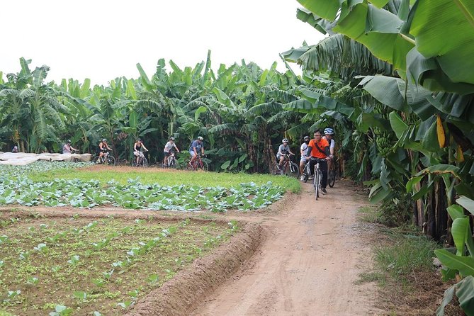 Half-Day Bicycle Tour Combine City & Countryside + Train Street - Hanoi from the saddle