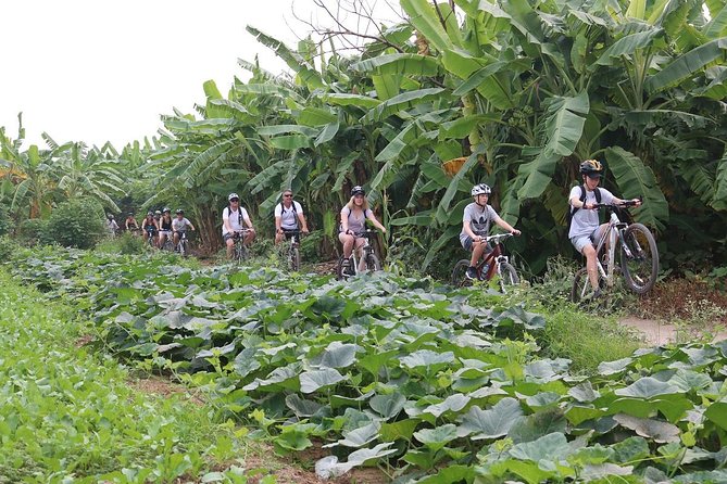 Half-Day Bicycle Tour Combine City & Countryside + Train Street - City landmarks on the way to Ba Dinh Square