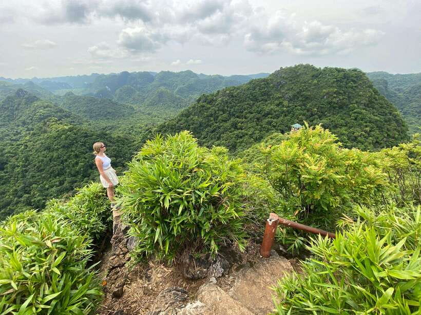Half Day Hiking to Cat Ba National Park with a Guide - A four-hour sampler of Cat Ba