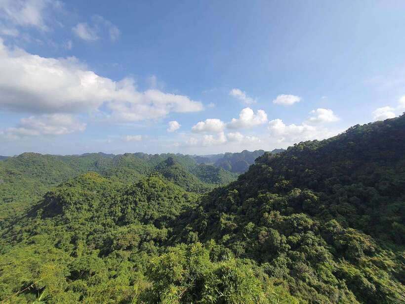 Half Day Hiking to Cat Ba National Park with a Guide - The climb to Ngu Lam Peak
