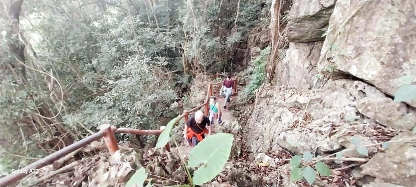 Half Day Hiking to Cat Ba National Park with a Guide - A short, respectful stop at Chua Linh Quang