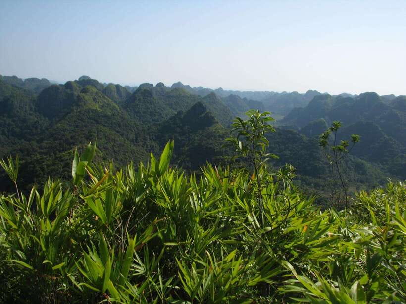 Half Day Hiking to Cat Ba National Park with a Guide - Trung Trang Cave’s limestone passage