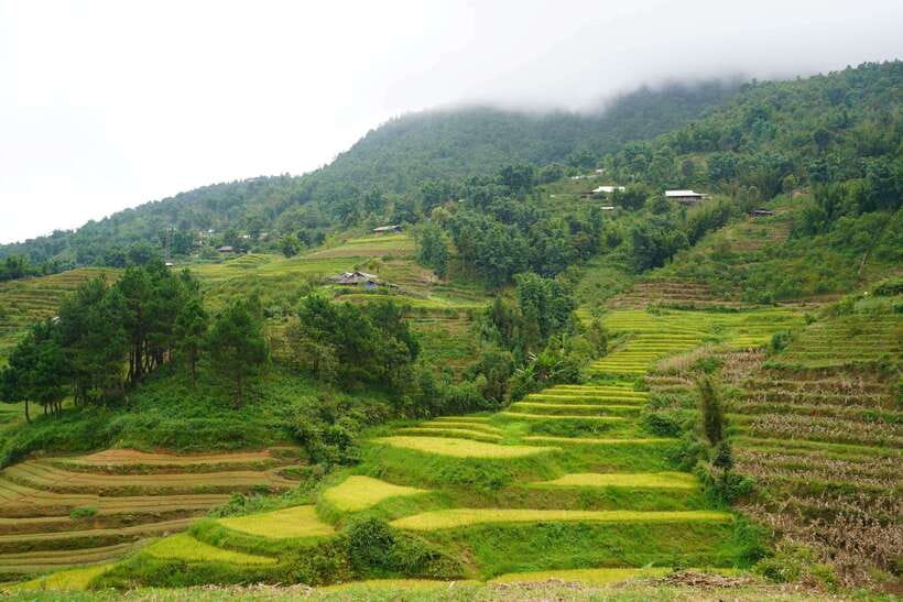 Half Day Sapa Trekking to Visit Lao Chai - Ta Van - How demanding is the 9 km walk?