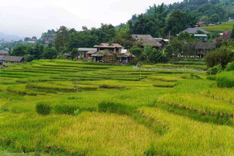 Half Day Sapa Trekking to Visit Lao Chai - Ta Van - What $22 gets you