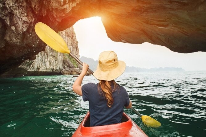 Halong Bay Day Tour 6Hour Deluxe Cruise Limousine Bus Small Group - Who should choose this Halong Bay day tour?