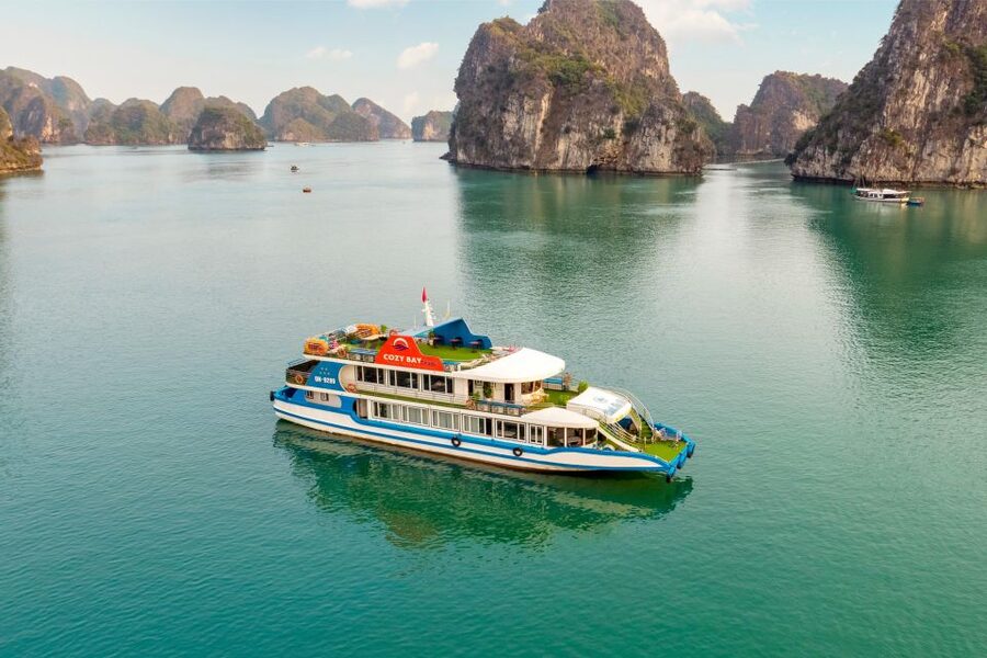 Halong Bay: Luxury Day Cruise with Buffet, Kayak, Swim - Guides, pace, and who will enjoy this day