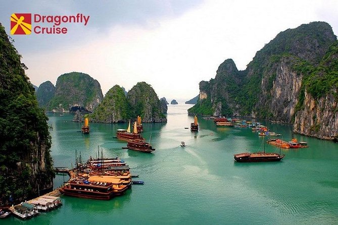 Halong Islands, Cave, Kayak, Bamboo Day Tour w Dragonfly Cruise - Is $120 a good value?