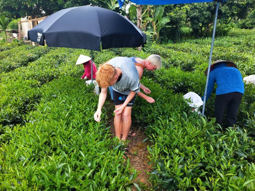 Hanoi: 3-Day Tour to Ban Gioc Waterfall and Ba Be Lake - Ban Gioc Waterfall and Nguom Ngao Cave