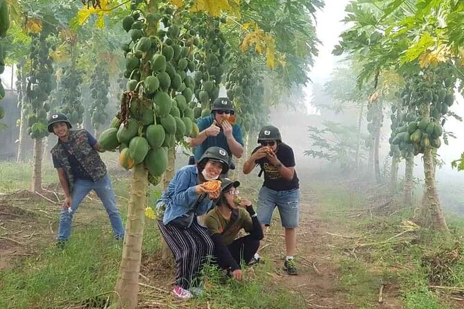 Hanoi Countryside Motorbike Tour: Red River Culture & Daily Life - The countryside beyond the Red River