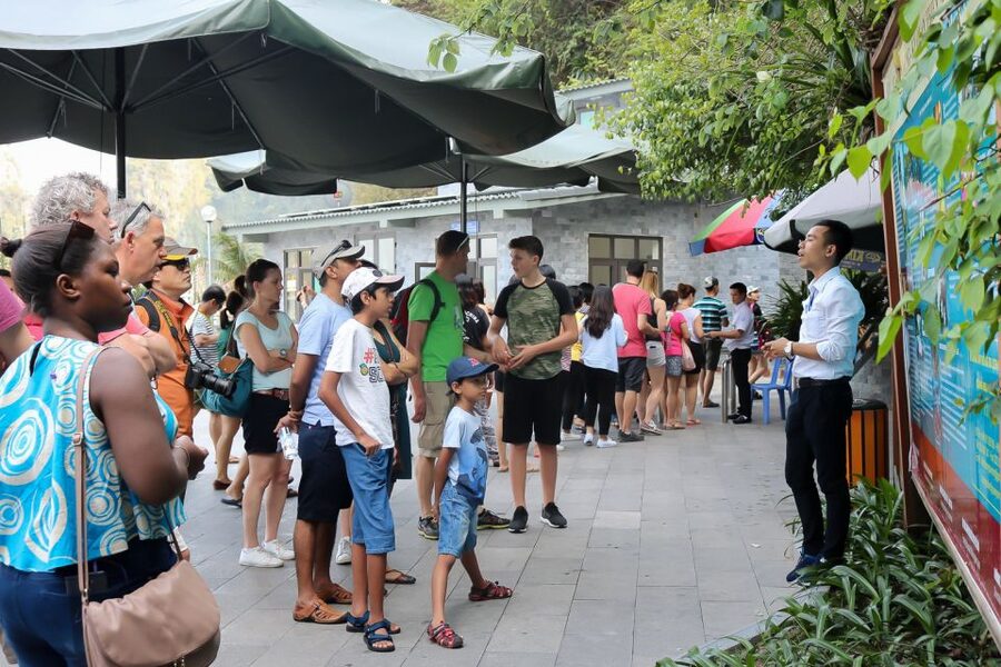 Hanoi: Islands & Caves Ha Long Cruise with Lunch & Kayaking - Guides and group arrangements shape the day