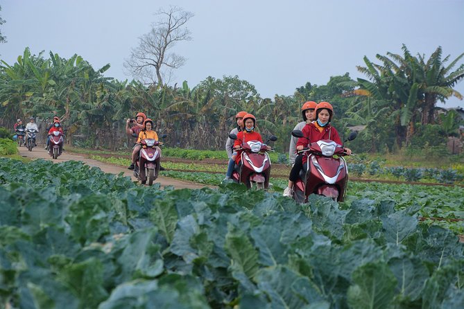 Hanoi Motorbike Tours Led By Women: Hanoi Outskirts & Rural Life - From city traffic to the Red River