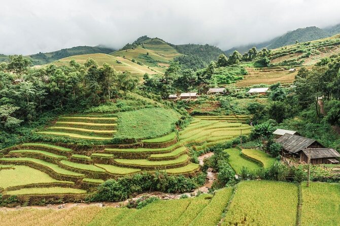 Hanoi - Sapa 2 Days 1 Night Overnight At Homestay - From Hanoi to Sapa, Then Straight Into the Hills