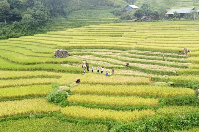 Hanoi - Sapa 2 Days 1 Night Overnight At Local Homestay - Is $95 good value?
