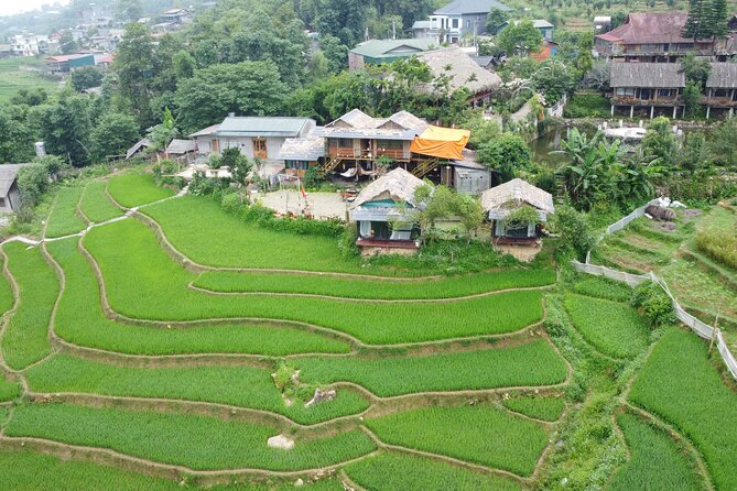Hanoi - Sapa 3 Day 2 Night Trekking With Hotel & Homestay - Giang Ta Chai and Su Pan on the final trek
