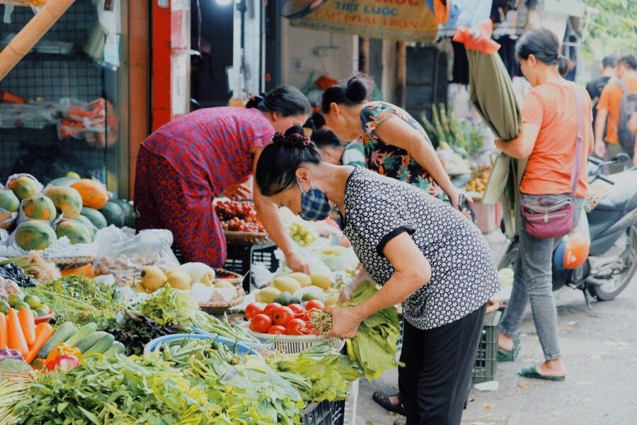 Hanoi: Vegan Street Food & Stories - Pause for Lanes, a Temple, and Market Life