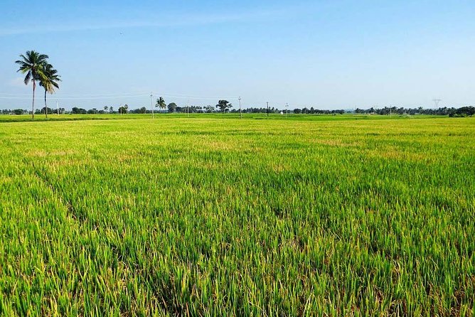 Hanoi Vespa Countryside Tour With Female Ao Dai Riders Half Day - What five hours and $58 buy you