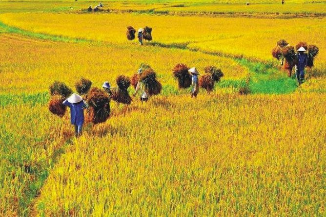 Hanoi Vespa Countryside Tour With Female Ao Dai Riders Half Day - Who will enjoy this tour most