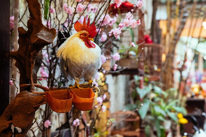 Highlights & Hidden Gems With Locals: Best of Hanoi Private Tour - Start at Dong Xuan Market, where Hanoi works and shops
