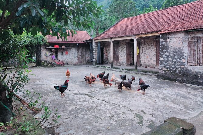 Luxury Ninh Binh Full Day Tour From Hanoi (Trang An - Hoa Lu) - FAQ