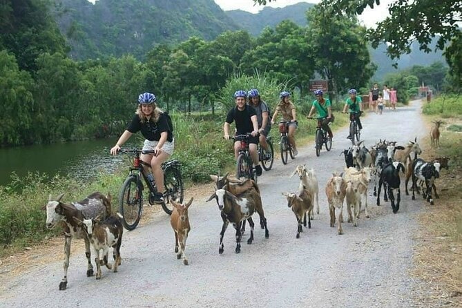 Luxury small Group Hoa Lu - Tam Coc - Mua Cave Max 6 - 8 pax/tour - Cycling gives you a closer look at rural life