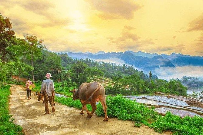 MAI CHAU 1 DAY TOUR | HIDDEN CHARM | SHARED or PRIVATE OPTIONS - Four hours among Mai Chau’s fields and villages