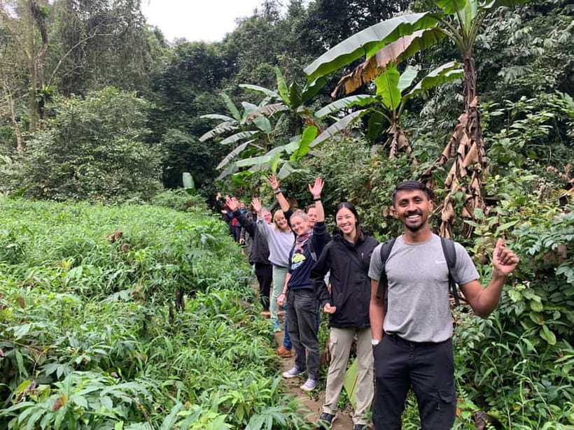 Ninh Binh: Cuc Phuong Jungle Hike & Wildlife Day Trip - Walking beneath the forest canopy