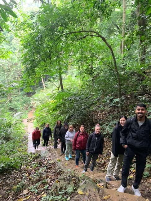 Ninh Binh: Cuc Phuong Jungle Hike & Wildlife Day Trip - Finding the 1,000-year-old Cay Cho tree