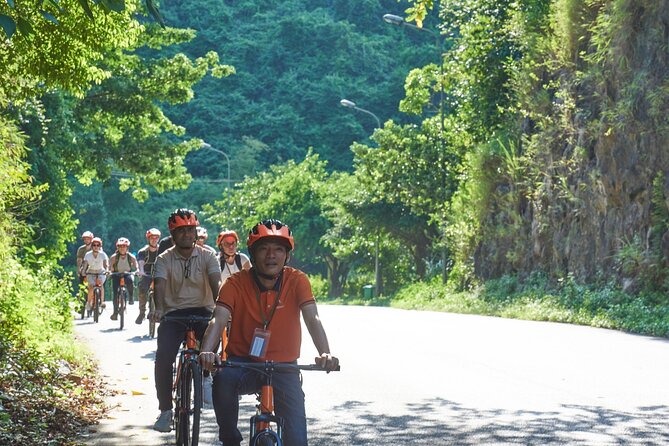 Ninh Binh Day Trip: Hoa Lu-Trang An/Tam Coc-Mua Cave-Cycling-Boat - Mua Cave’s 500 steps lead to the big view
