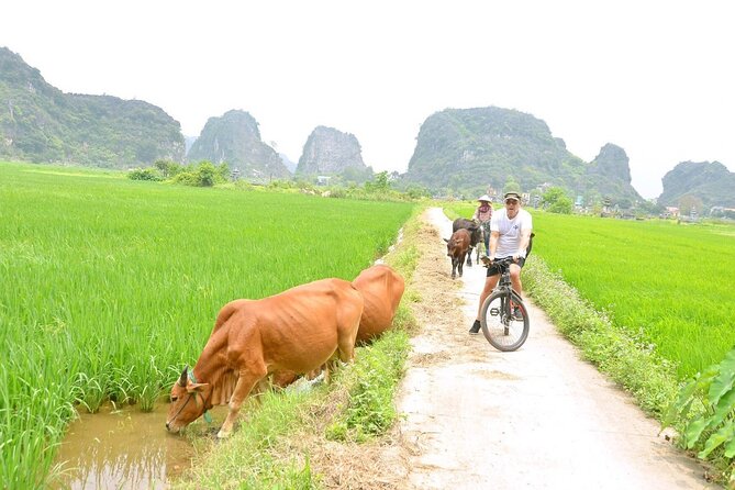 Ninh Binh Full-Day Small Group of 9 Guided Tour from Hanoi - Tam Coc’s sampan ride slows the pace