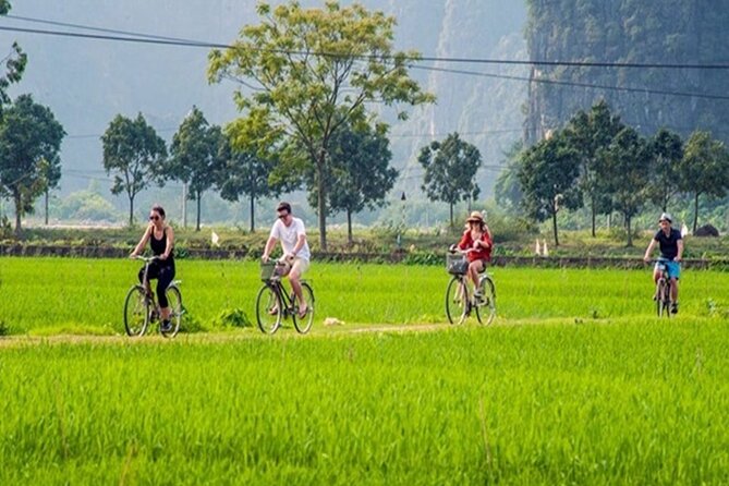 Ninh Binh Full-Day Trip to Trang An Mua Cave Hoa Lu Buffet Lunch - Mua Cave: steps for a wide view