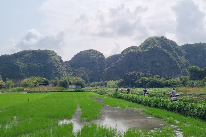 Ninh Binh HIGHTLIGHT & HIDDEN GEM Tour From Hanoi: Skip-The-Line - Villages and rice fields by bicycle or scooter