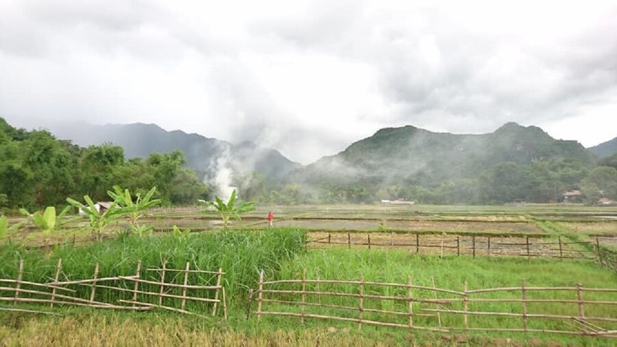 Ninh Binh - Hoa Lu - Tam Coc - Mua Caves & Buffet Lunch - A 45-minute bicycle ride through the village