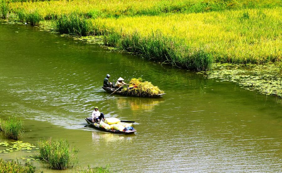 Ninh Binh: Hoa Lu, Trang An and Mua Caves Hiking Day Trip - A full day beyond Hanoi