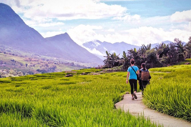 Number one top rated ethical cultural trekking and homestay by ETHOS - Is $93.34 good value?