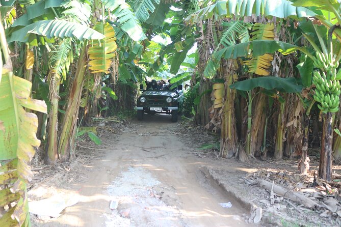 Red River Delta Countryside+ Rural Villages, rice Paddies fields - Co Loa’s village lanes and pagoda