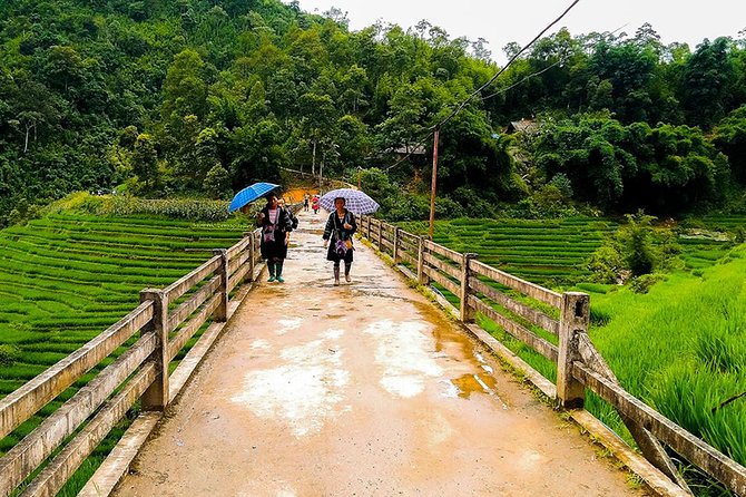 Rice Terraced Fields & Homestay Experience– 2D 1N - Guides, comfort, and the right expectations