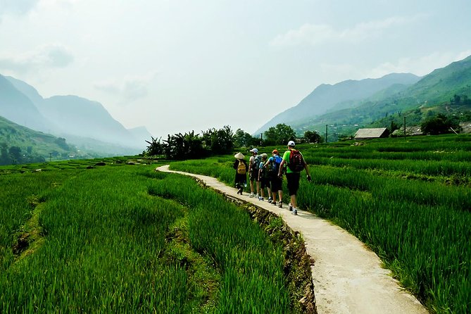Rice Terraced Fields & Homestay Experience– 2D 1N - Day two: morning fields and Giang Ta Chai waterfall