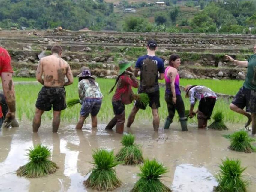 Sa Pa: 2-Day Trekking Trip with Ethnic Minority Homestay - Who will enjoy this trip most?