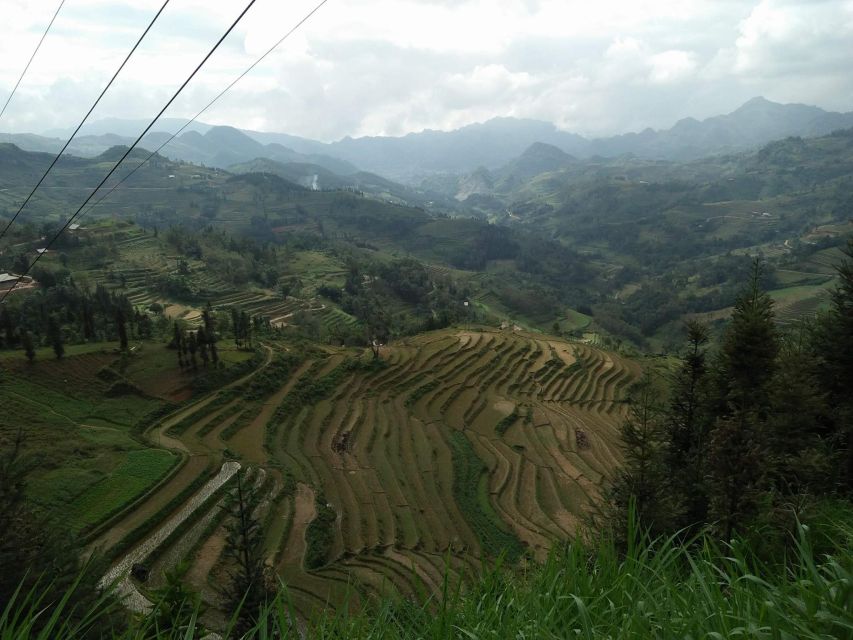 Sa Pa: 2-Day Trekking Trip with Ethnic Minority Homestay - Should you book it?