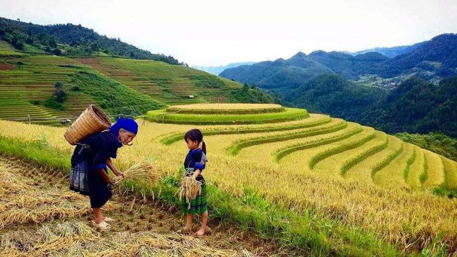 Sa Pa: 6-Hours Muong Hoa Valley Trek with Local Ethnic guide - At a glance